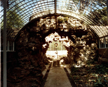 interior of grotto and fernery at Swiss Gardens 1984